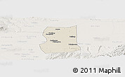 Shaded Relief Panoramic Map of Lintong, lighten