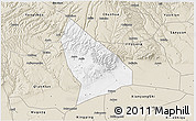 Classic Style 3D Map of Liquan