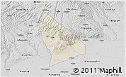Shaded Relief 3D Map of Liquan, desaturated