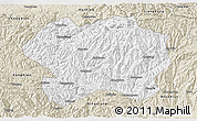 Classic Style 3D Map of Lueyang