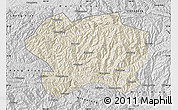 Shaded Relief Map of Lueyang, desaturated