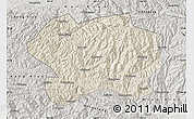 Shaded Relief Map of Lueyang, semi-desaturated