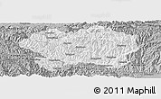 Gray Panoramic Map of Lueyang