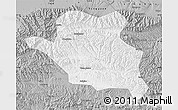 Gray Map of Luonan
