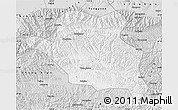 Silver Style Map of Luonan