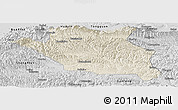 Shaded Relief Panoramic Map of Luonan, desaturated