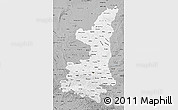 Gray Map of Shaanxi