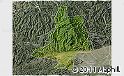 Satellite 3D Map of Mian Xian, semi-desaturated