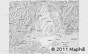Silver Style 3D Map of Mian Xian