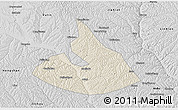 Shaded Relief 3D Map of Mizhi, desaturated