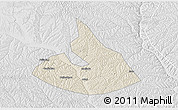 Shaded Relief 3D Map of Mizhi, lighten, desaturated