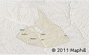 Shaded Relief 3D Map of Mizhi, lighten