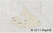 Shaded Relief 3D Map of Mizhi, lighten, semi-desaturated