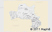 Classic Style 3D Map of Nanzheng, single color outside