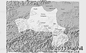 Gray 3D Map of Nanzheng