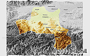 Physical 3D Map of Nanzheng, desaturated