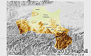 Physical 3D Map of Nanzheng, lighten, desaturated