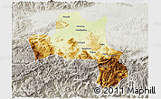 Physical 3D Map of Nanzheng, lighten, semi-desaturated