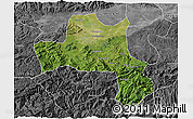 Satellite 3D Map of Nanzheng, desaturated