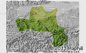 Satellite 3D Map of Nanzheng, lighten, desaturated