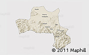 Shaded Relief 3D Map of Nanzheng, cropped outside