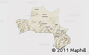 Shaded Relief 3D Map of Nanzheng, single color outside