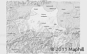 Silver Style 3D Map of Nanzheng