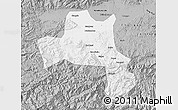 Gray Map of Nanzheng