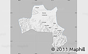 Gray Map of Nanzheng, single color outside