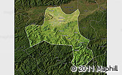 Satellite Map of Nanzheng, darken