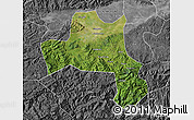 Satellite Map of Nanzheng, desaturated