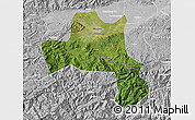 Satellite Map of Nanzheng, lighten, desaturated
