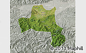 Satellite Map of Nanzheng, lighten, semi-desaturated