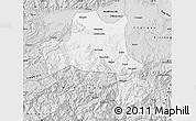 Silver Style Map of Nanzheng