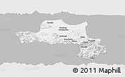 Gray Panoramic Map of Nanzheng, single color outside
