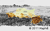 Physical Panoramic Map of Nanzheng, desaturated