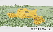 Savanna Style Panoramic Map of Nanzheng