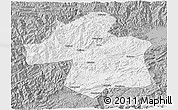 Gray 3D Map of Ningqiang
