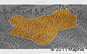 Physical Panoramic Map of Wuqi, desaturated