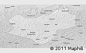 Silver Style Panoramic Map of Wuqi