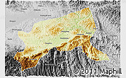 Physical 3D Map of Xixiang, desaturated