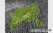 Satellite Map of Xixiang, desaturated