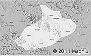 Gray 3D Map of Feixian