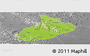 Physical Panoramic Map of Feixian, desaturated