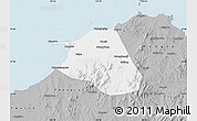 Gray Map of Huang Xian
