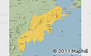 Savanna Style Map of Jiaonan