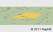 Savanna Style Panoramic Map of Linqing