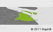 Physical Panoramic Map of Chuansha, desaturated