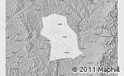 Gray Map of Fenxi