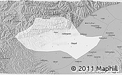 Gray 3D Map of Fenyang